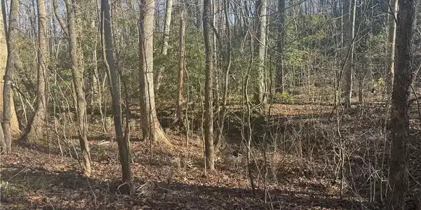 Lot 14-15 Poplar Drive