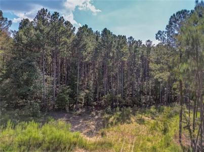 Government Farm Road