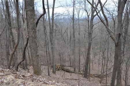 3012 Wild Turkey Bluff