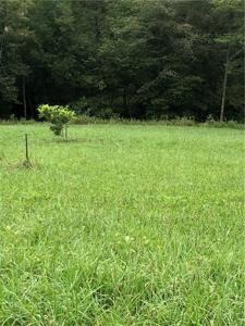 Buford Weaver Road