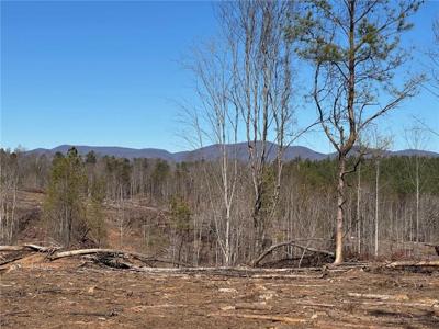 475 Larmon Forks Rd