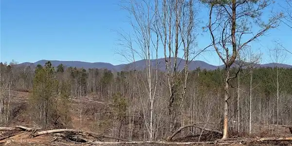 475 Larmon Forks Rd