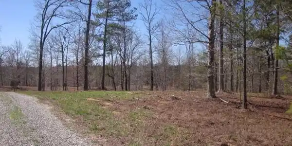 Lot n/a Hwy 136 -16.62 Acres W