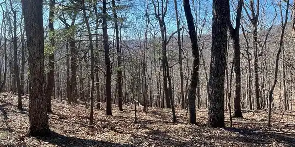 47 Bell Flower Drive