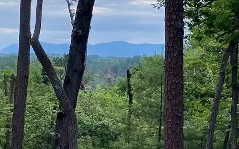 Lt 132 Red Oak Trail