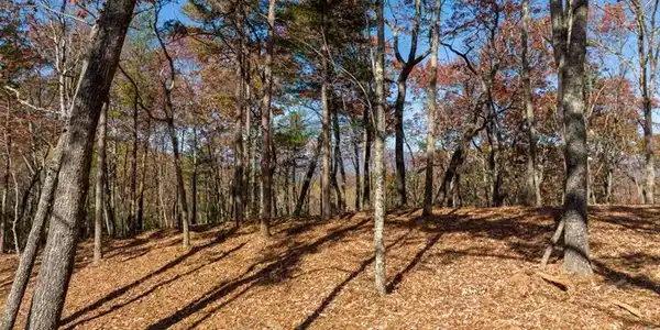 Lot 40 Preserve Trail