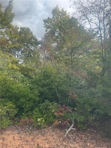 Lot 16 Brown Hawk Drive