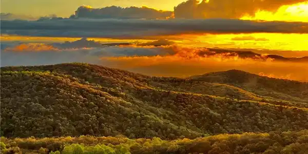 Lot 01 Upper Sassafras Parkway