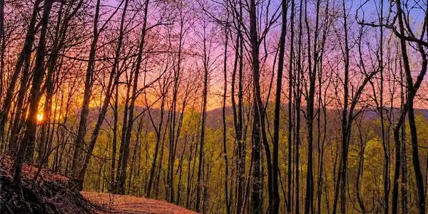 29 AC Hidden Valley Drive