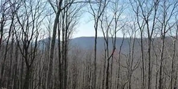 101 Deer Run