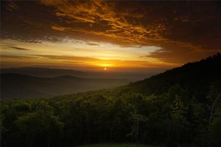 Lot 04 Upper Sassafras Parkway