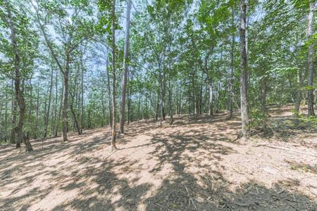 339 Mountain Top RD