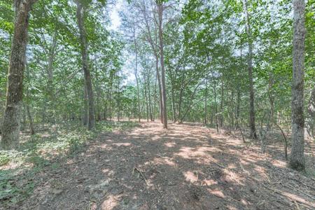 769 Rockhouse RD