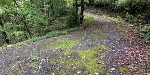 Sequoia Hills Lane
