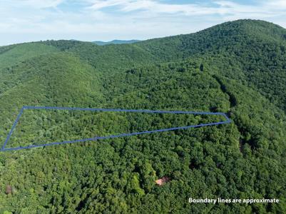 Lot 9 Brushy Top Drive