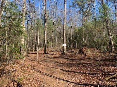Tract2 East New Hope Road
