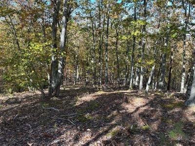 TR 3 Culp Lake Road