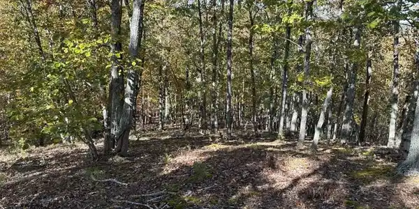 TR 3 Culp Lake Road
