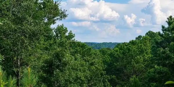 Lot 160 Shallow Water Way