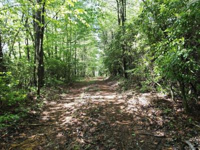 9.6 AC Ralston Creek Trail