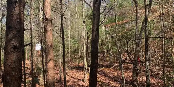 Lot C East New Hope Road