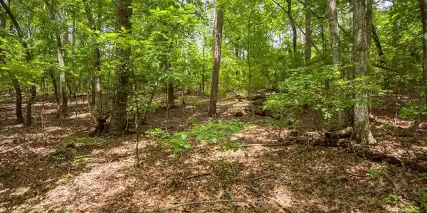 285 Bear Creek Drive