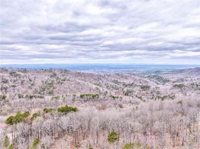 1000 Raccoon Ridge Road NE