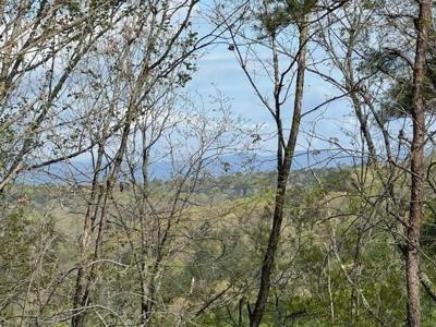 TRACT1 Panorama