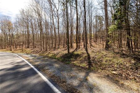 Lot 10 Flowery Branch Road NE