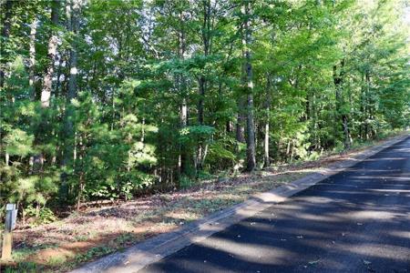 Lot 28 Saw Blade Lane