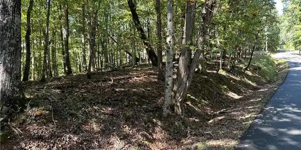 Lt2 Grandview Trail
