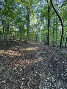 Lot 3 & 4 Bull Gap Road