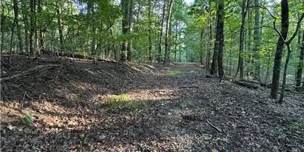 Lot 3 & 4 Bull Gap Road