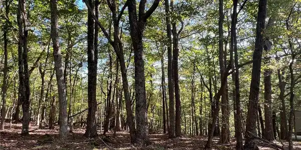402 South View Trail