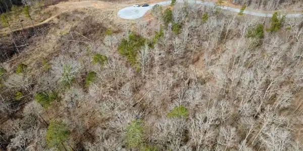Lot 43 Bucktail Way
