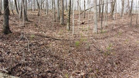 1110 Mayfield Lane NE