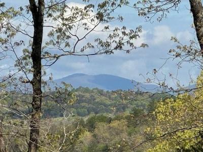 TRACT1 Panorama