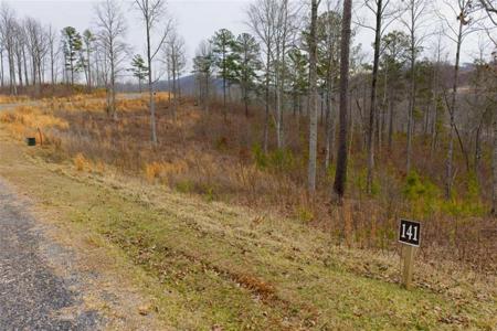 LT 141 Twisted Oak Road