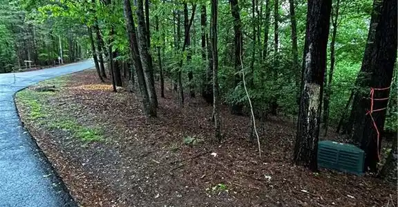 Lot 115 Lazy River Lane