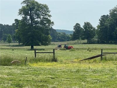 Lot 7 Taylor Bridge