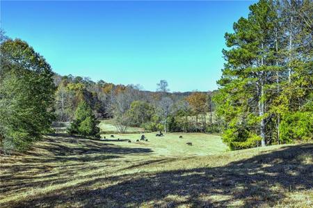 711 East Cochran Road
