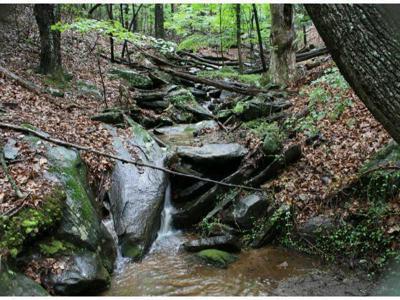 1108 OGLETHORPE MOUNTAIN Road