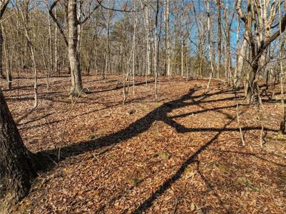 Lot 8 Mount Mincie Road