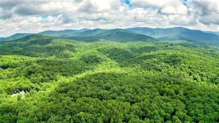 47 AC Pine Crest