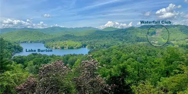 Burton Springs Trail