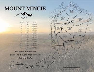 Lot 5 Mount Mincie Road