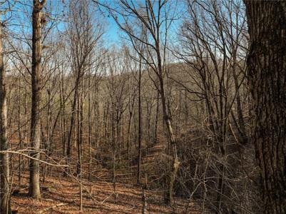 Lot 10 Mount Mincie Road