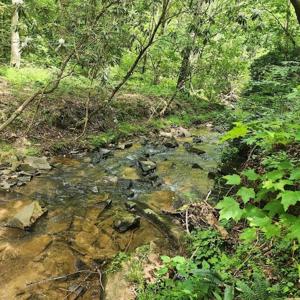 Lot 210 Woodstone Trail