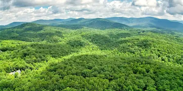 23.83 Pine Crest Road