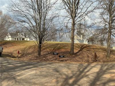 Lot 128 Stamp Mill Drive